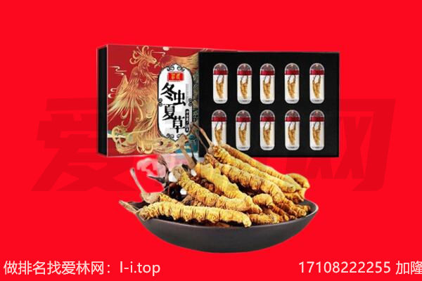 黑河逊克县回收虫草.jpg